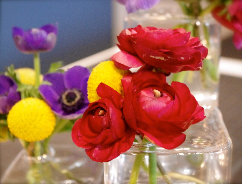 Red and Purple Flowers — Calm, Photograph