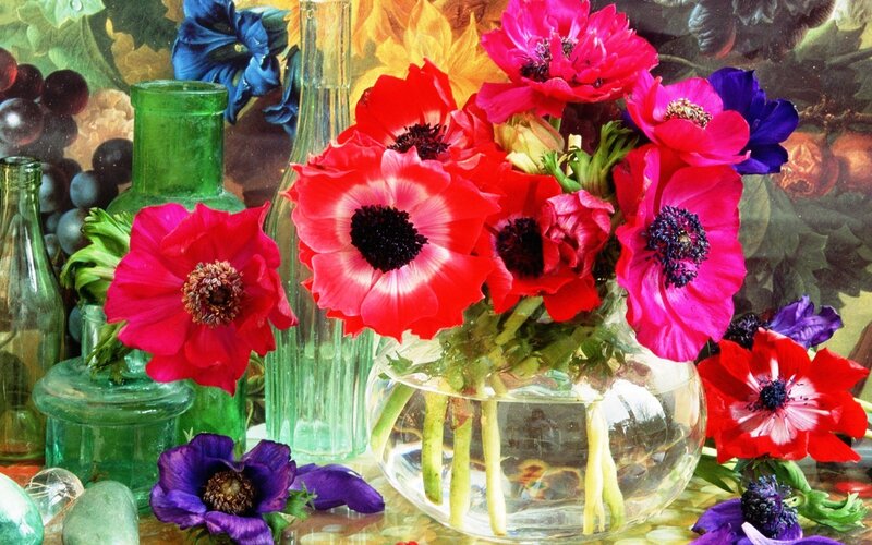 Red and Purple Flowers — Vibrant, Painting