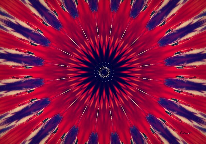 Red and Purple Mandala