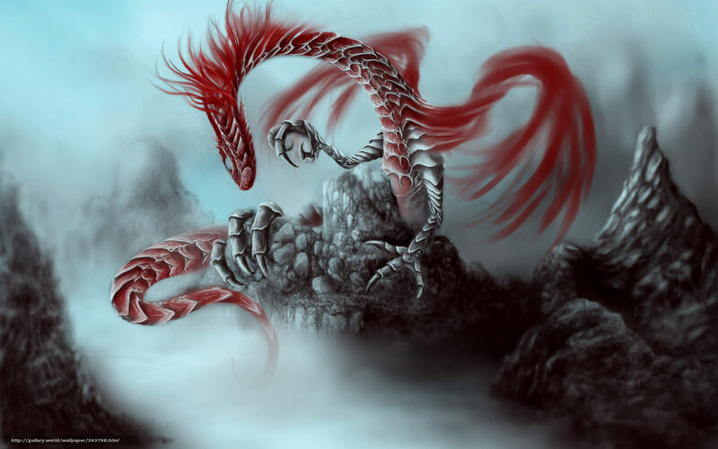 Red and Silver Dragon