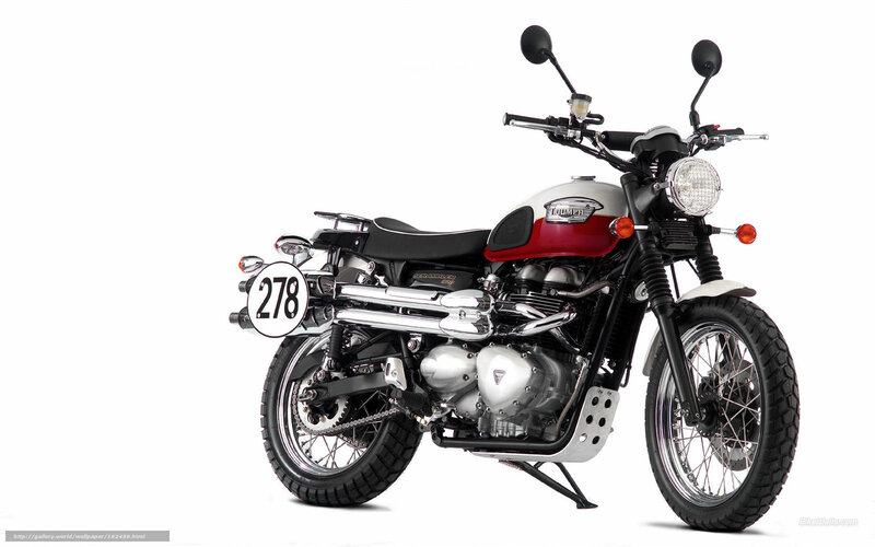 Red and Silver Motorcycle — Black