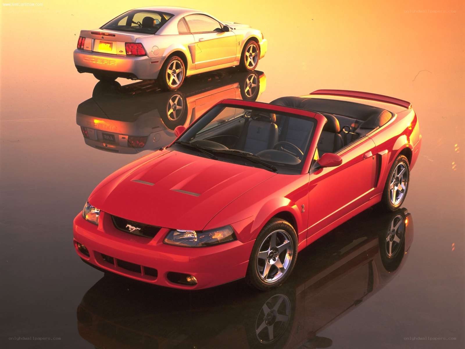 Red and silver Mustang Cobras