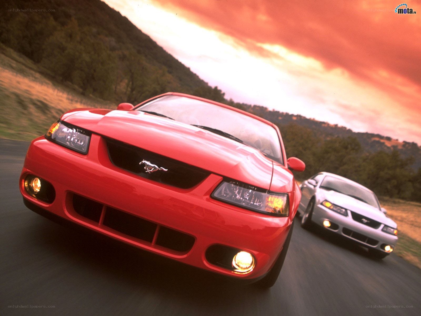 Red and silver Mustangs on road