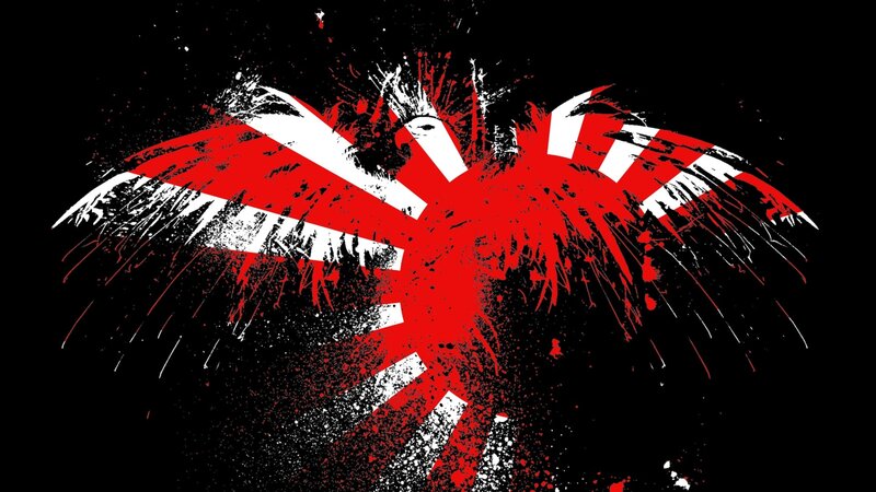 Red and White Bird — Black