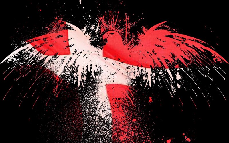 Red and white bird splatter art