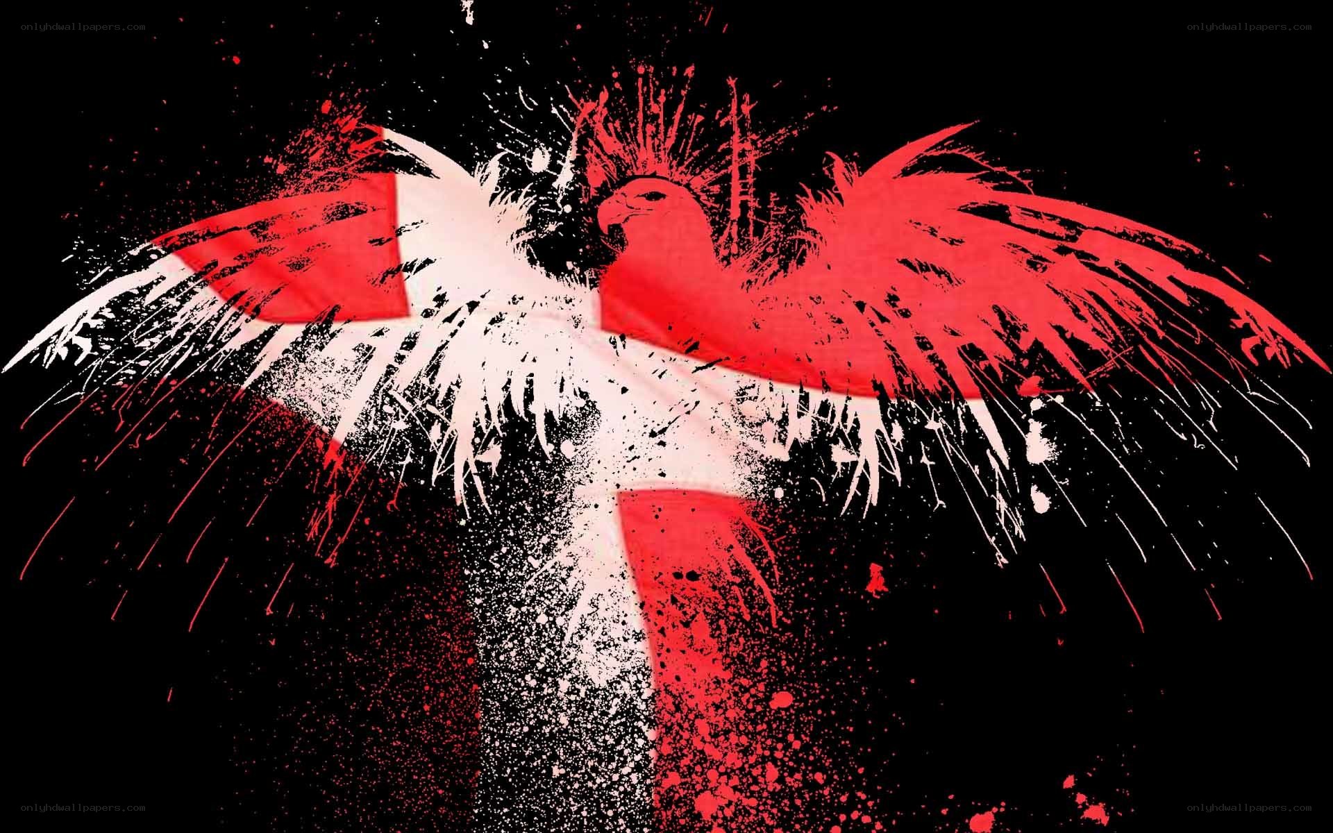 Red and white bird splatter art
