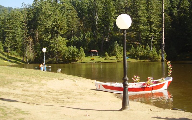 Red and White Boat — Green, Serene, Afternoon