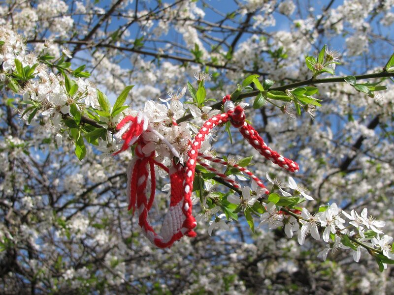 Red and White Bracelet