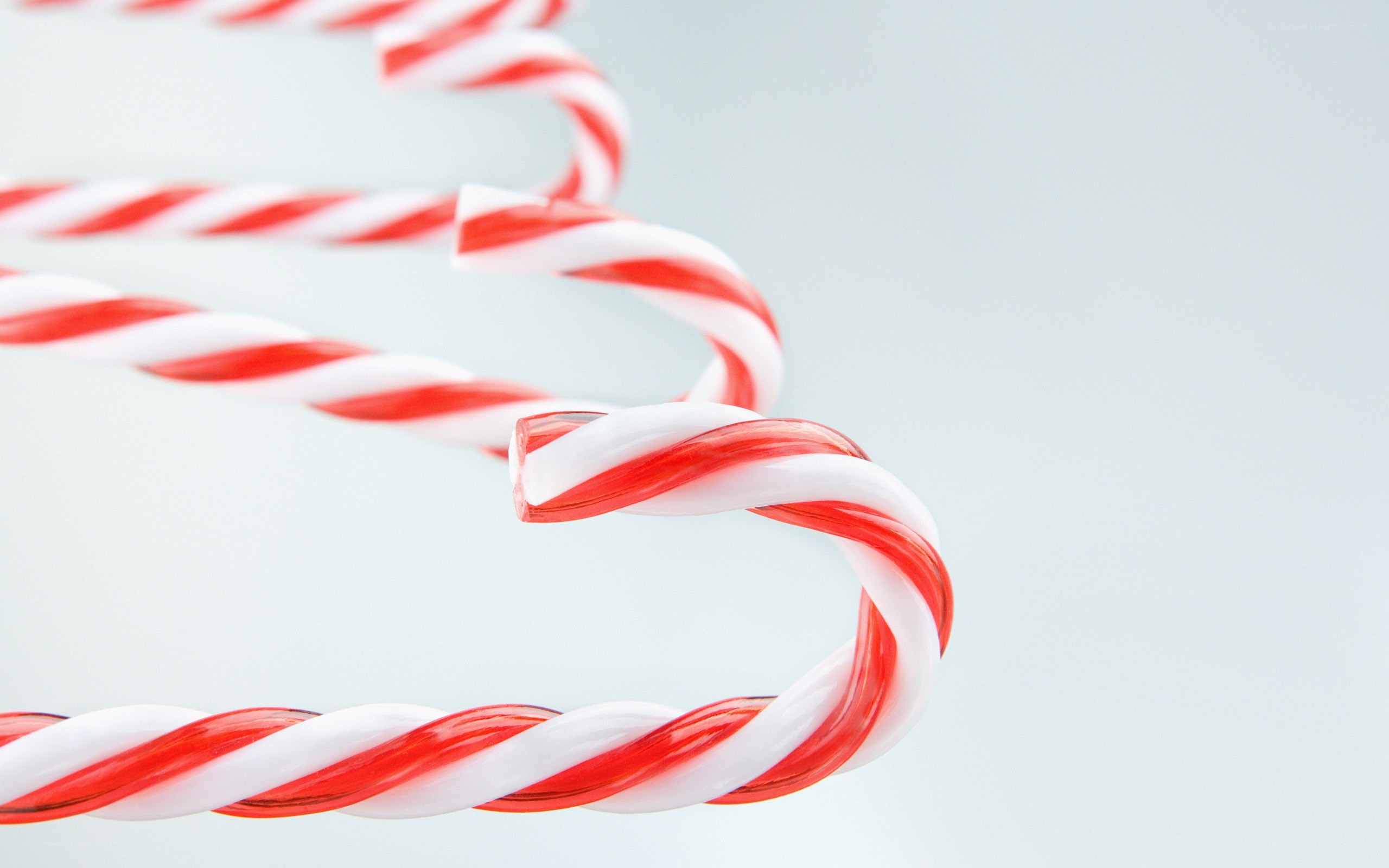 red and white candy canes