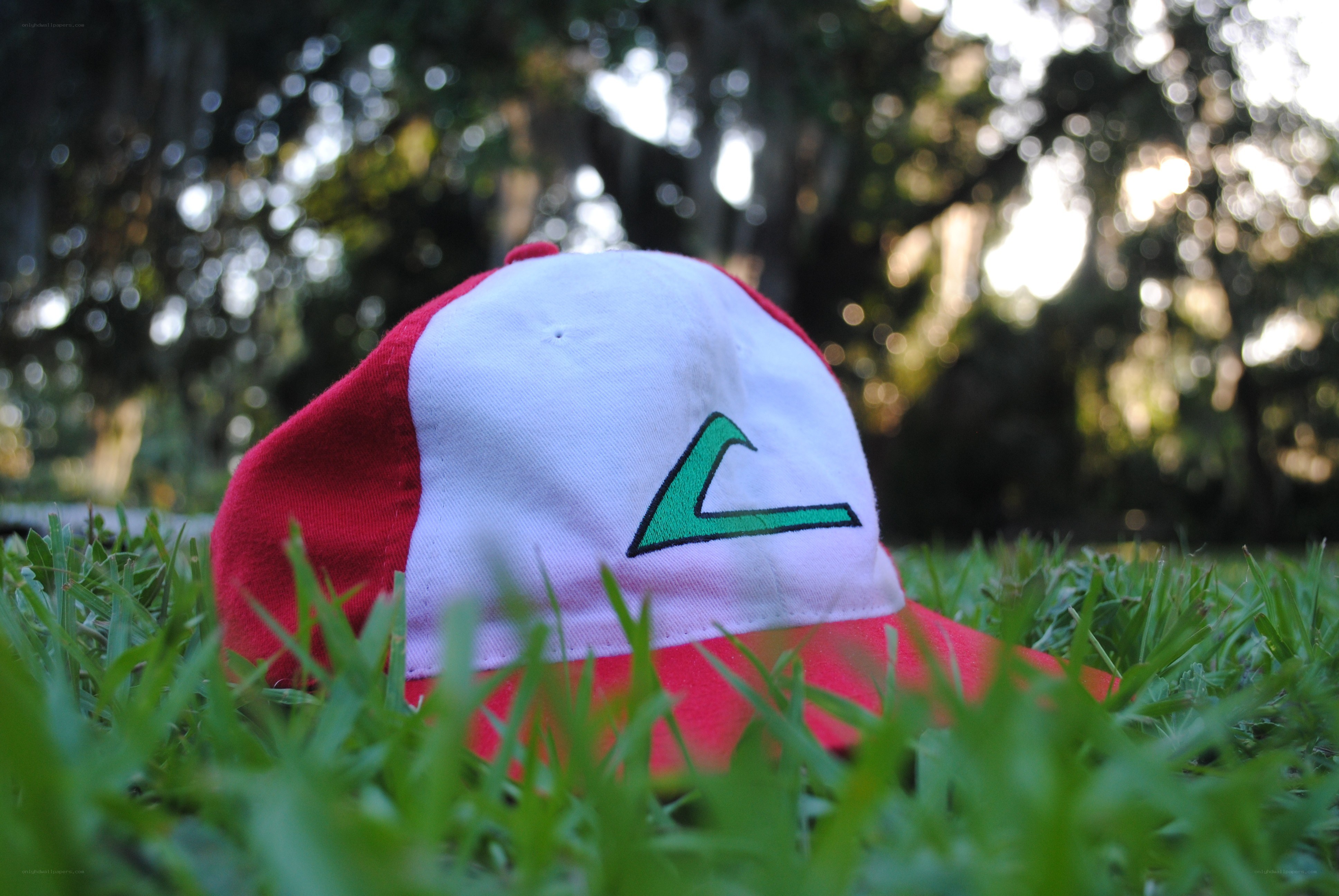 red and white cap in grass