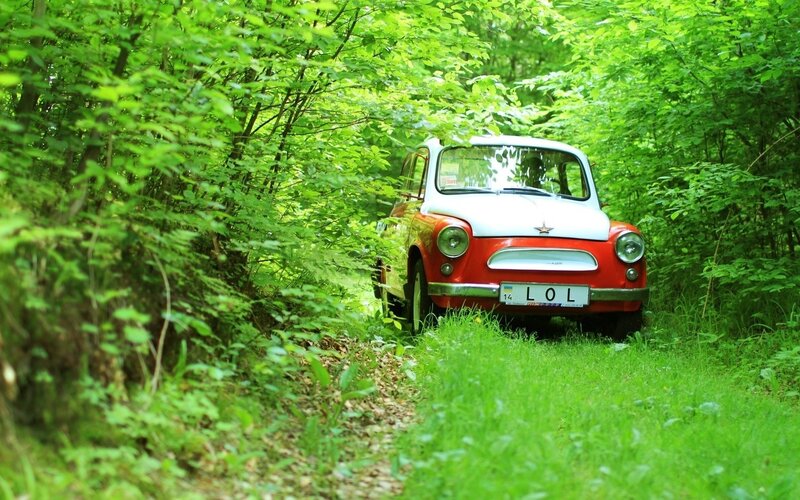 Red and White Car — Green, Serene