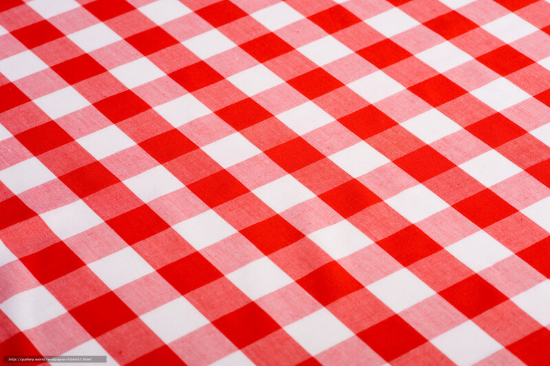 Red and White Checkered Tablecloth — Neutral