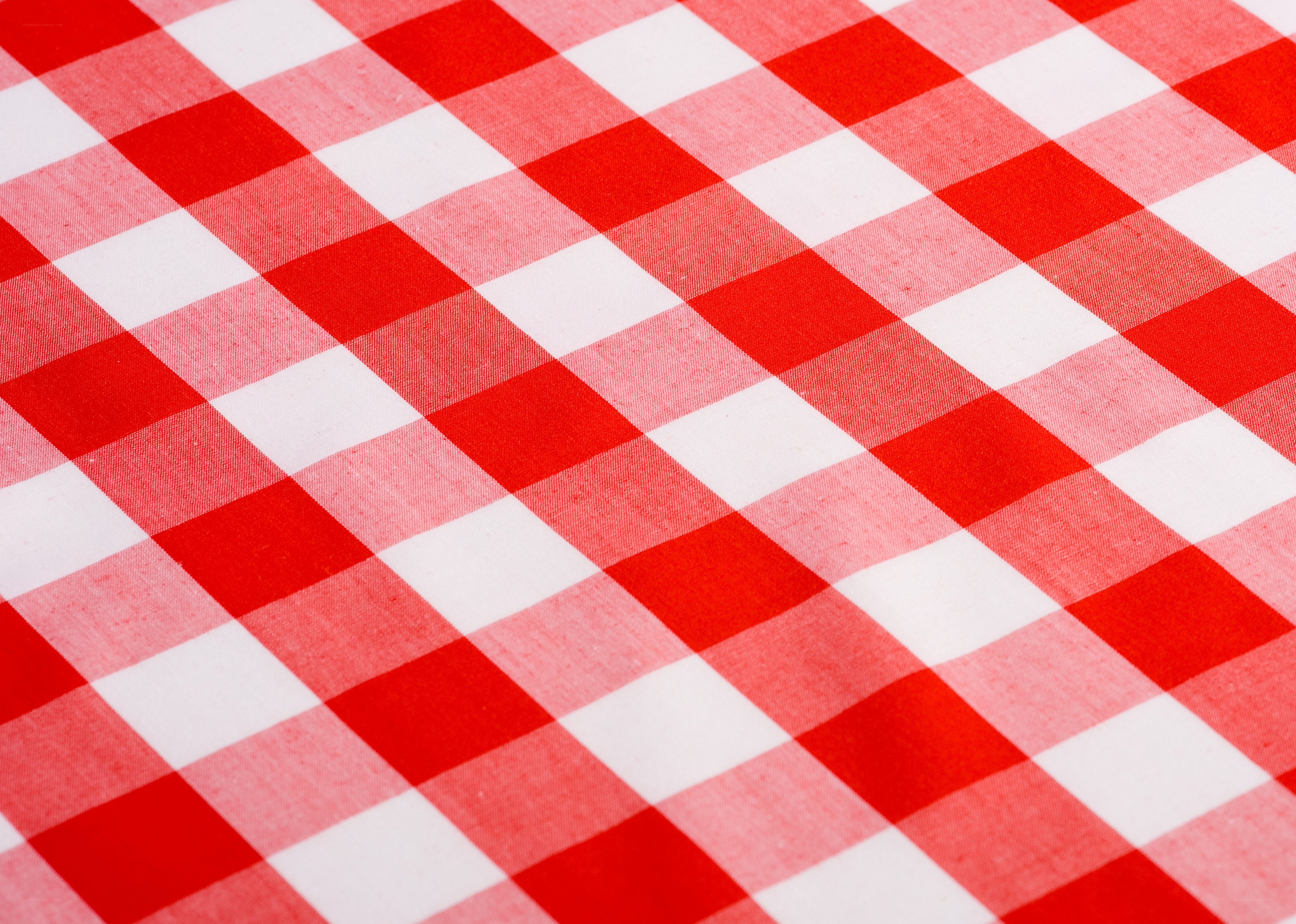 red and white checkered tablecloth