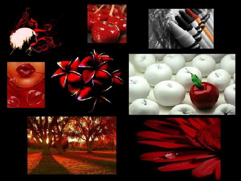 red and white collage