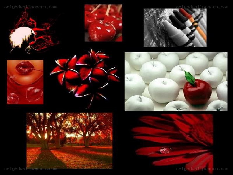 red and white collage