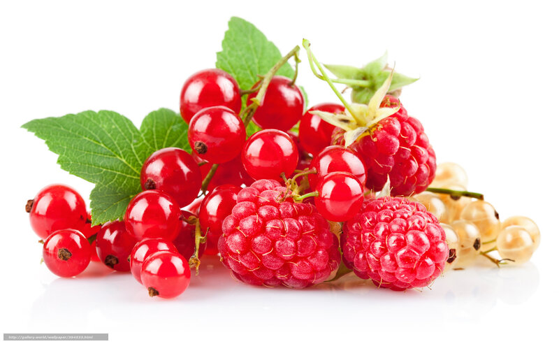 Red and White Currants — Fresh