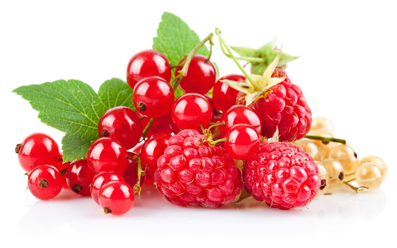 Red and White Currants