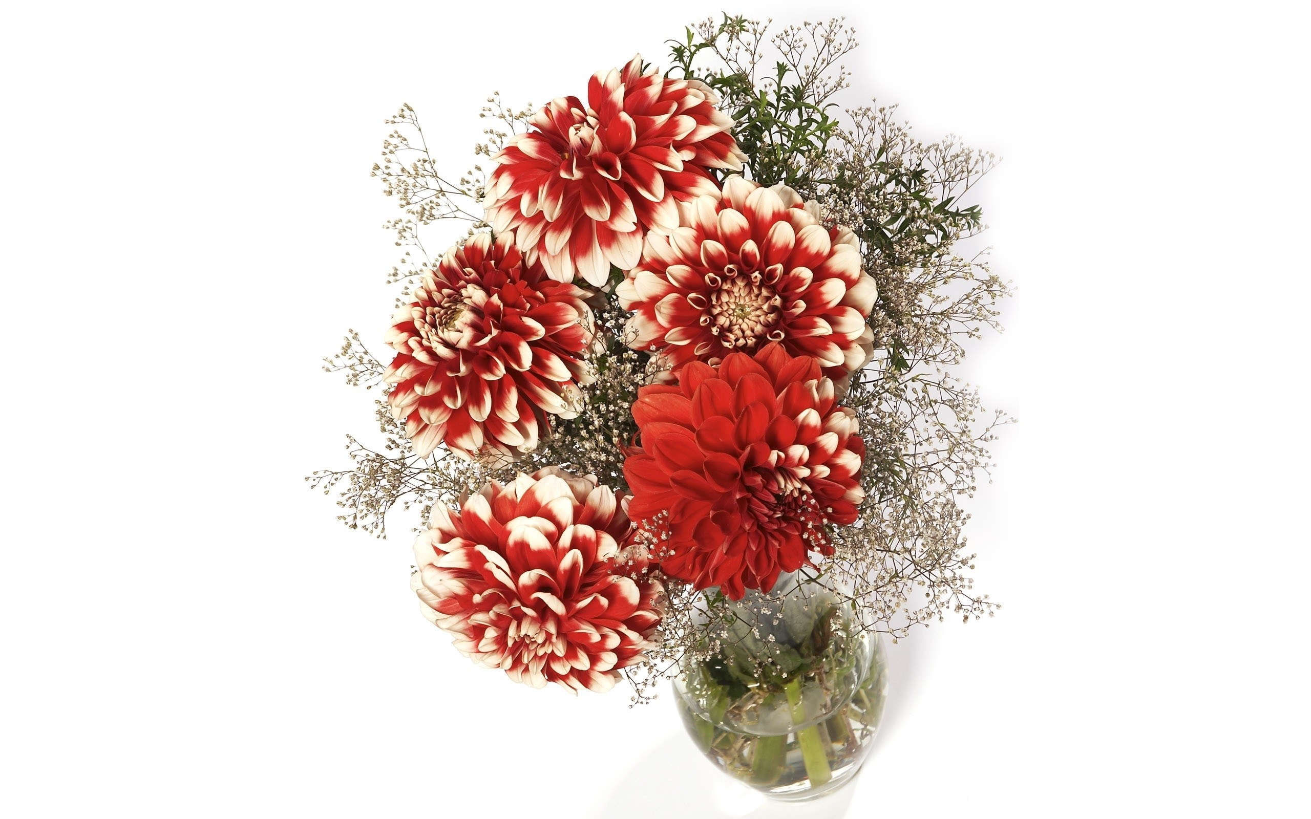 Red and white dahlia bouquet