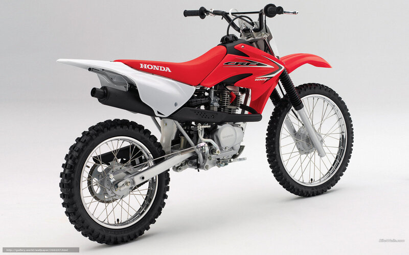 Red and White Dirt Bike — Neutral, Photograph, Motorcycle, Seat, Handlebars