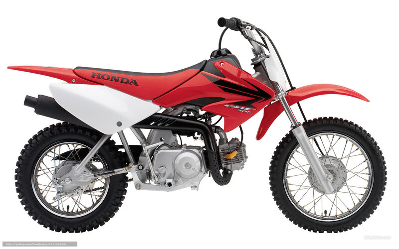 Red and White Dirt Bike — Neutral, Photograph, Motorcycle, Seat