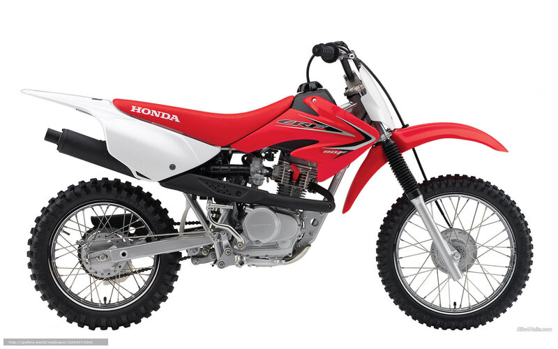 Red and White Dirt Bike — Neutral, Photograph, Seat, Engine, Wheel