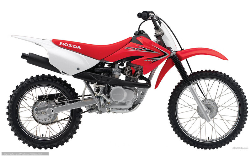 Red and White Dirt Bike — Neutral, Photograph, Seat, Engine, Wheels