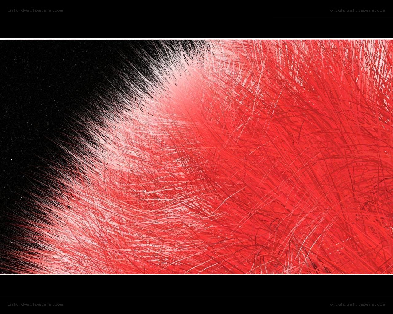Red and white fiber texture