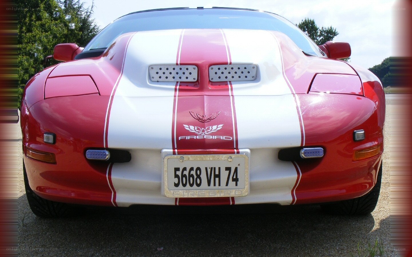 red and white firebird car
