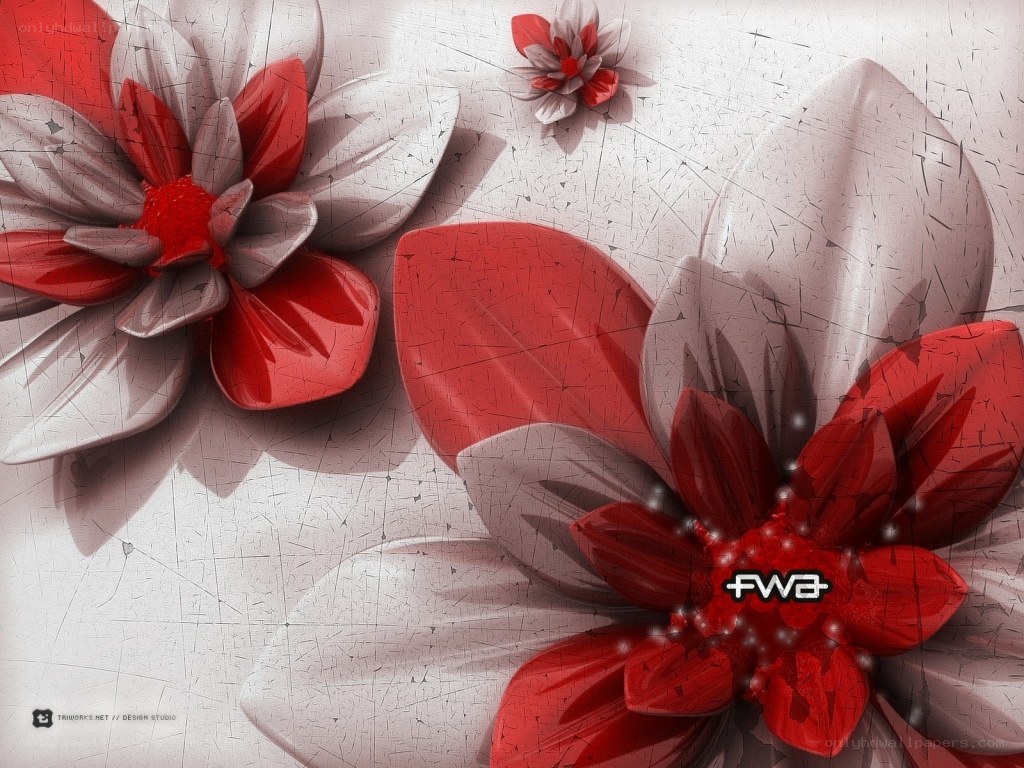 Red and white floral design