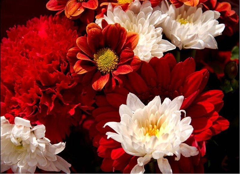 Red and white flower bouquet