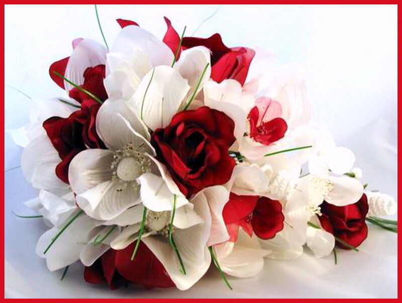 Red and White Flower Bouquet — Calm