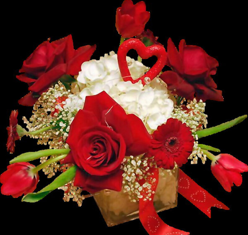 Red and White Flower Bouquet — Romantic