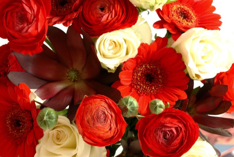 Red and White Flower Bouquet — Vibrant