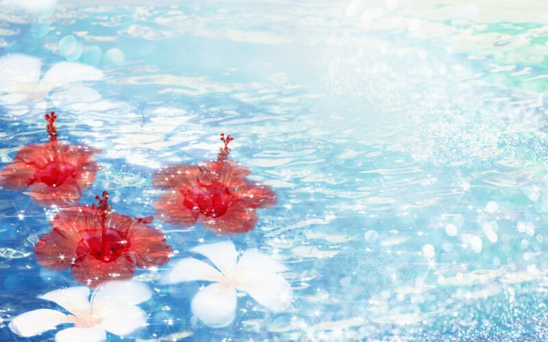 Red and White Flowers — Blue