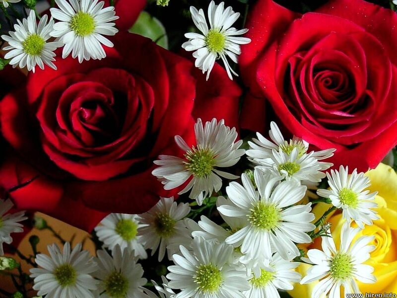 Red and white flowers bouquet
