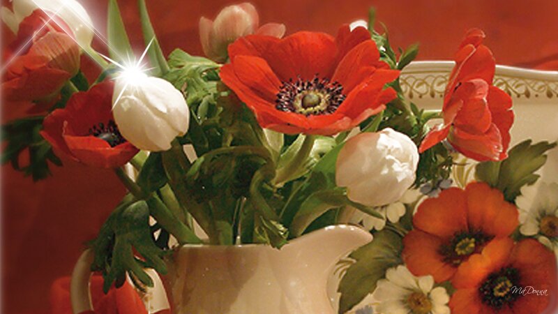 Red and White Flowers — Calm, Photograph