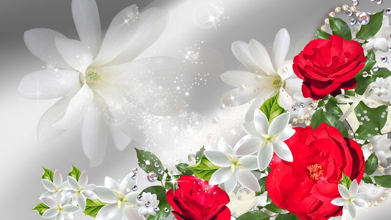 Red and White Flowers — Elegant