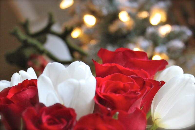 Red and White Flowers — Festive