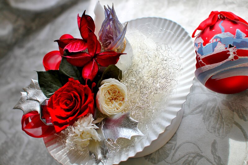 Red and White Flowers — Festive, Winter