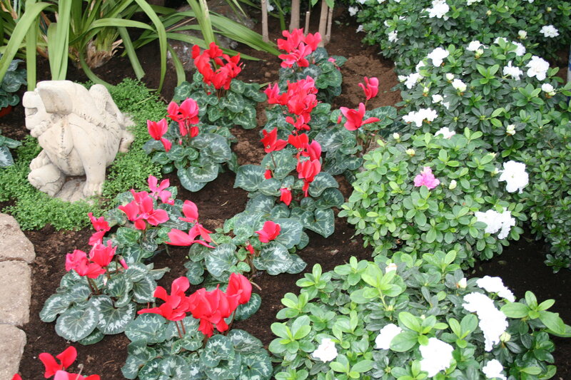 Red and White Flowers — Green