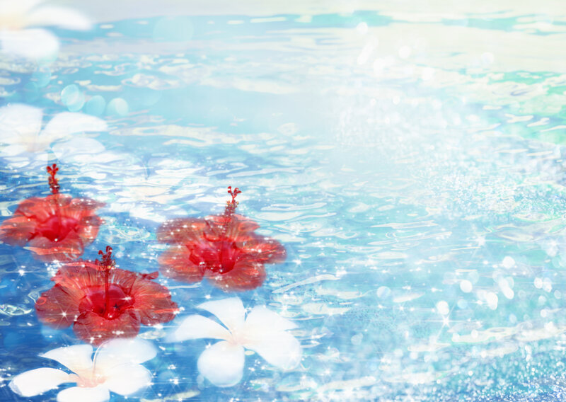 Red and white flowers on water