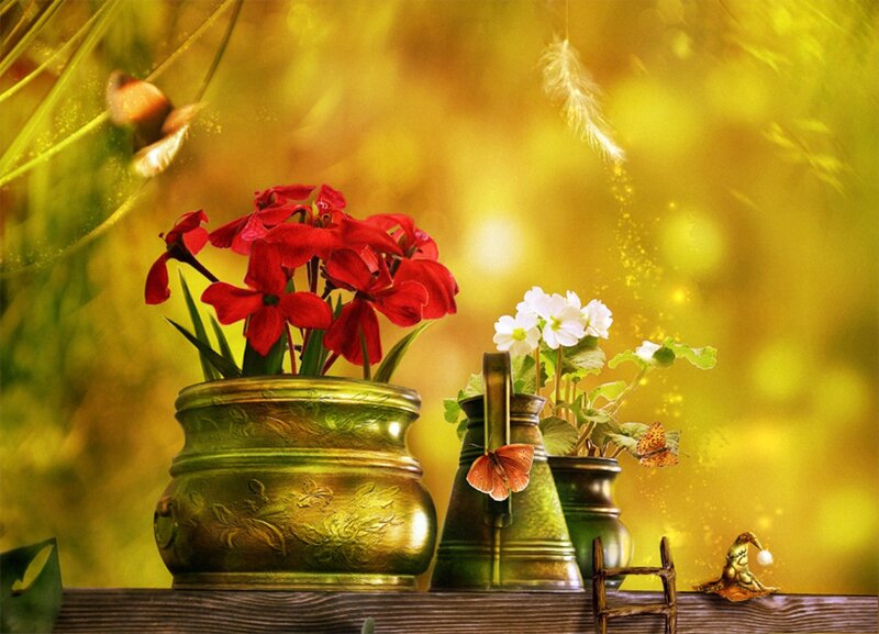 Red and White Flowers — Yellow, Serene