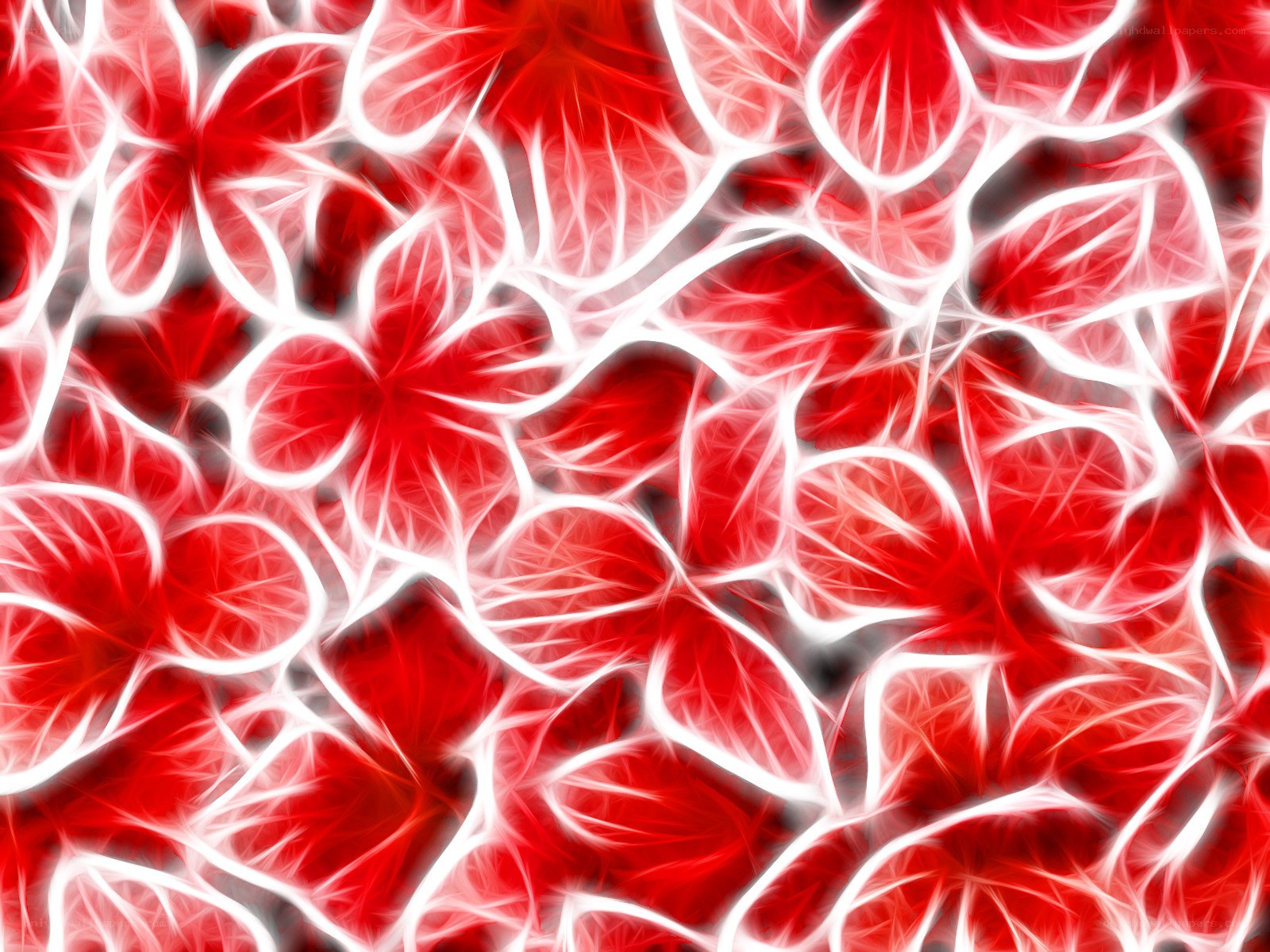 Red and white fractal floral pattern