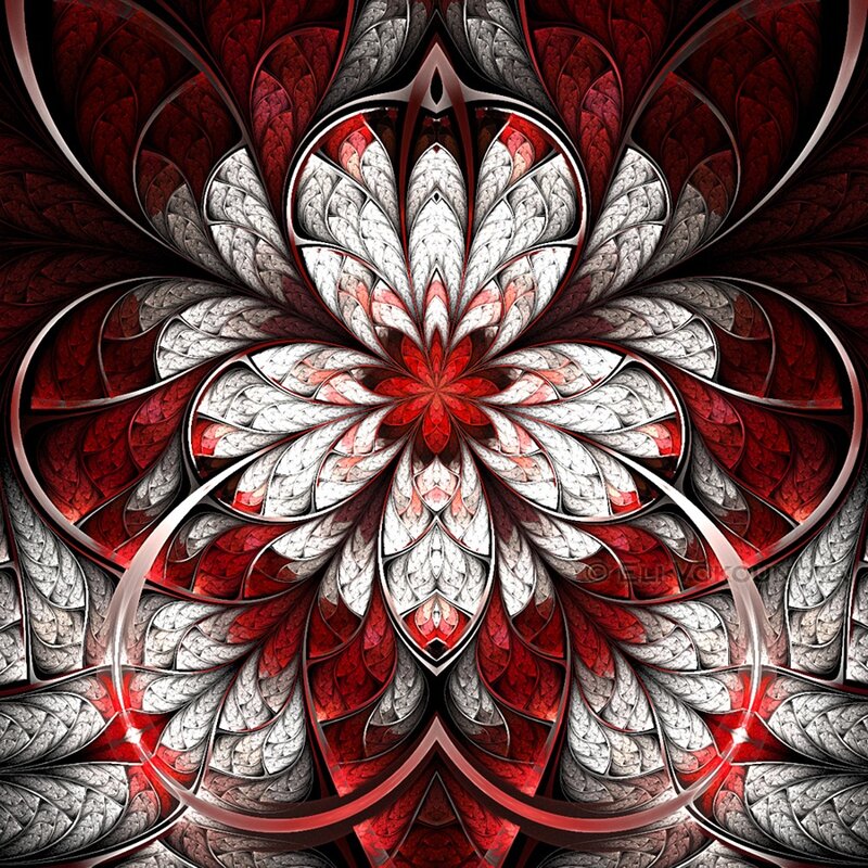 Red and white fractal flower