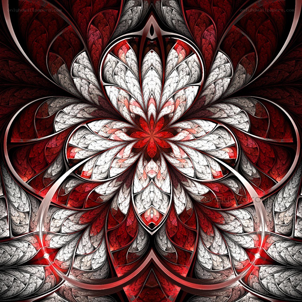 Red and white fractal flower