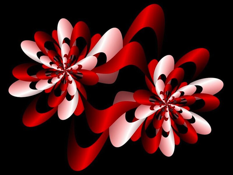 Red and White Fractal Flowers — Abstract