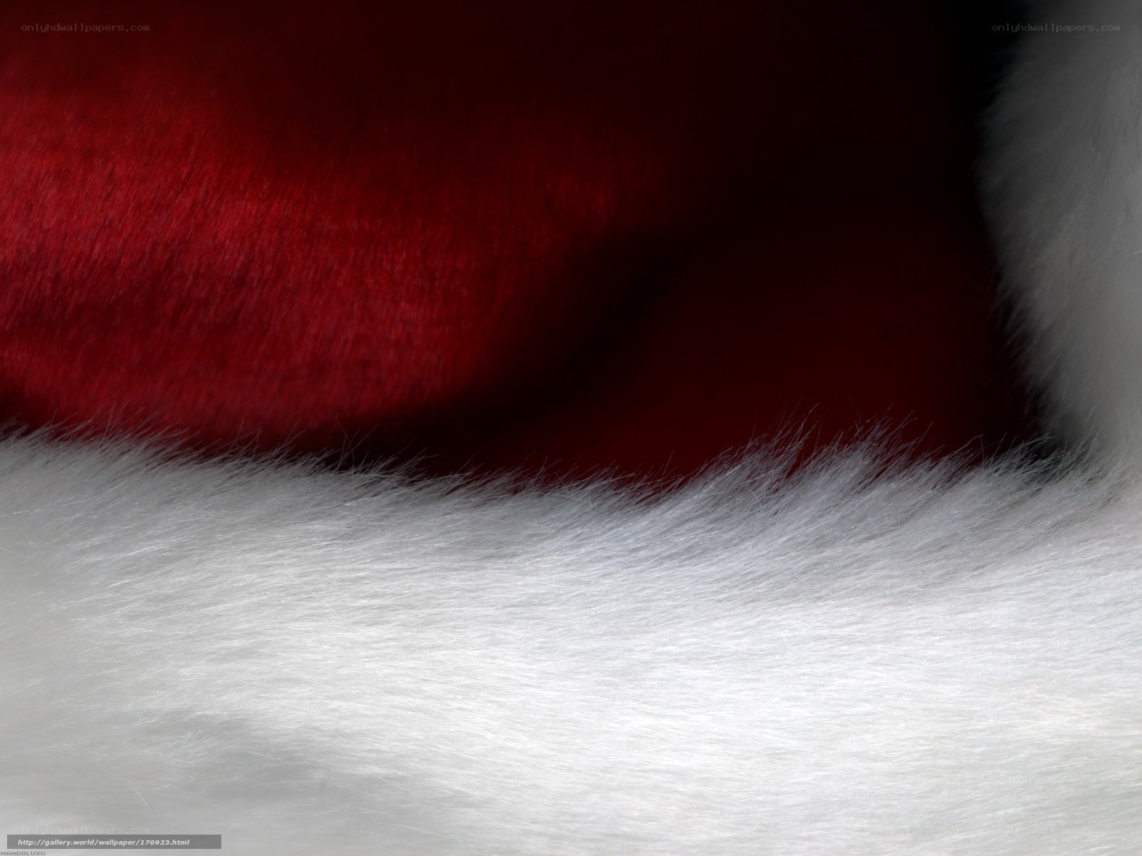 red and white fur texture