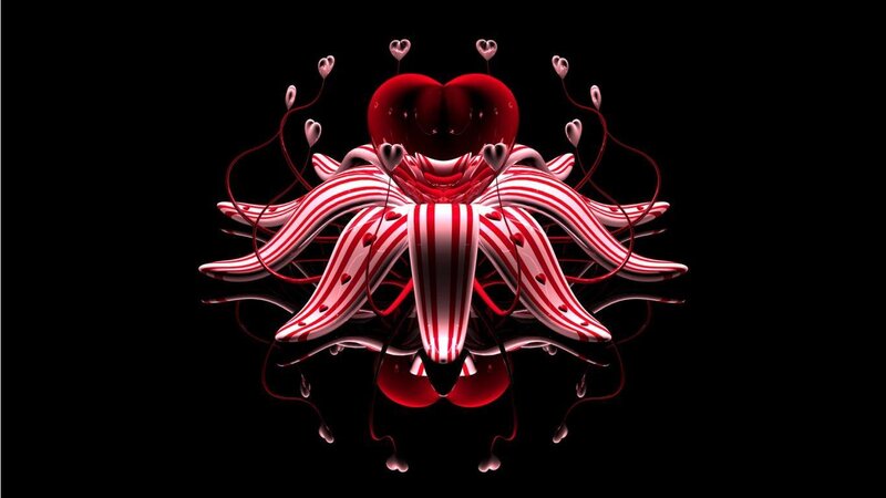 Red and White Heart Flower