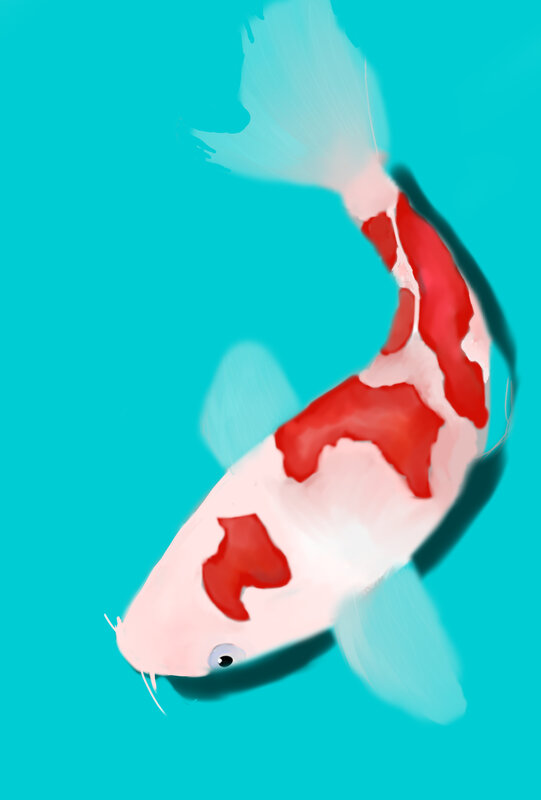 Red and White Koi Fish — Cyan