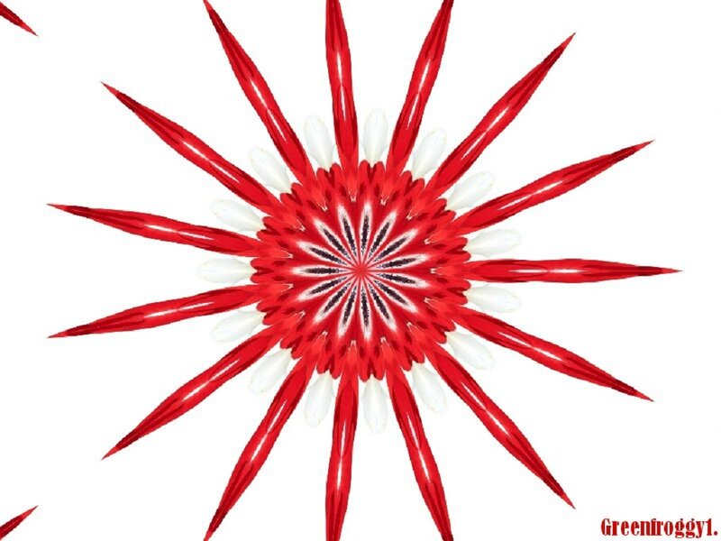 Red and White Mandala — Symmetrical